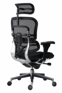 Fauteuil ERGOHUMAN